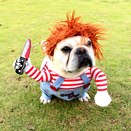 Hilarious Pet Attire