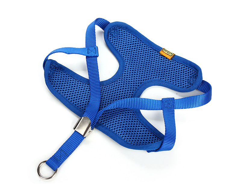 Eye Catching Leash