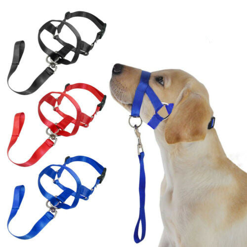 Canine Muzzle Leash Attachment