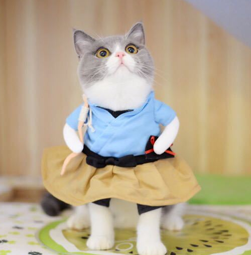 Samurai Cat Costume