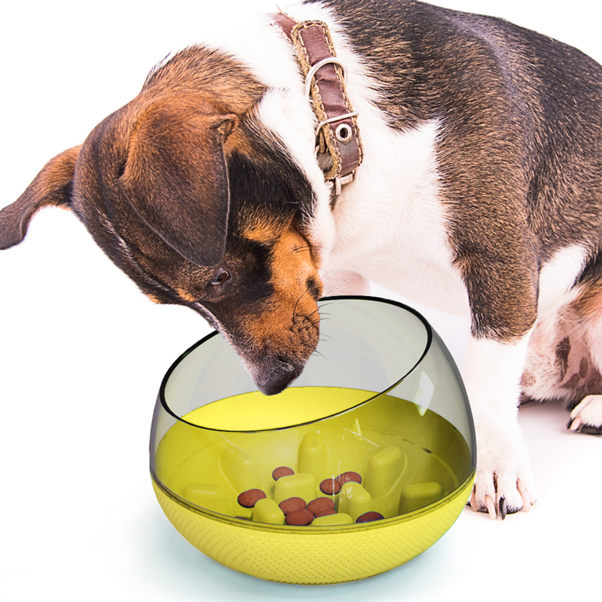 Slow Food Bowl