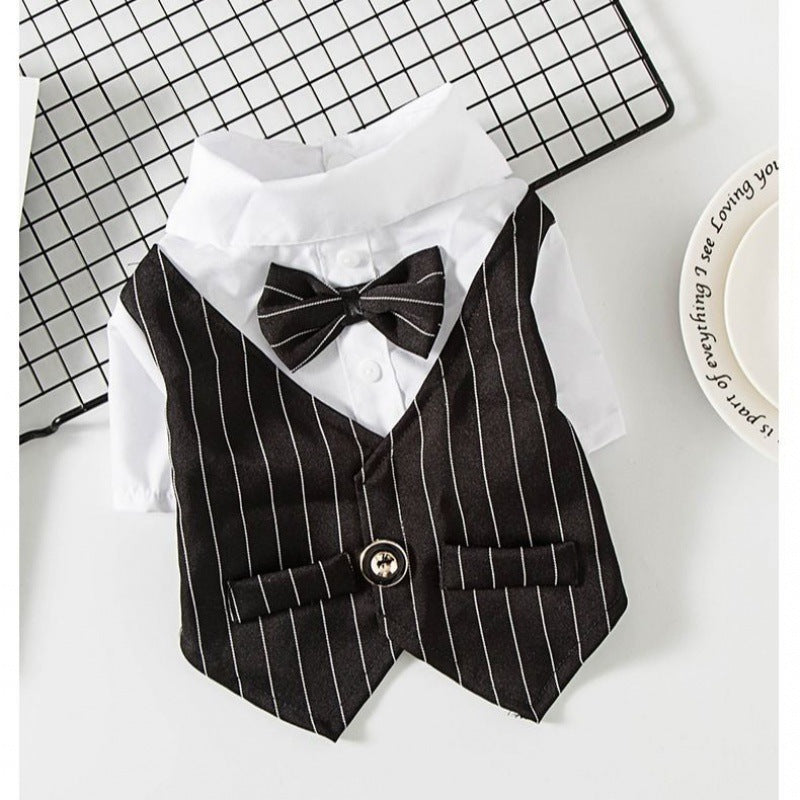Evening Suit For Pets