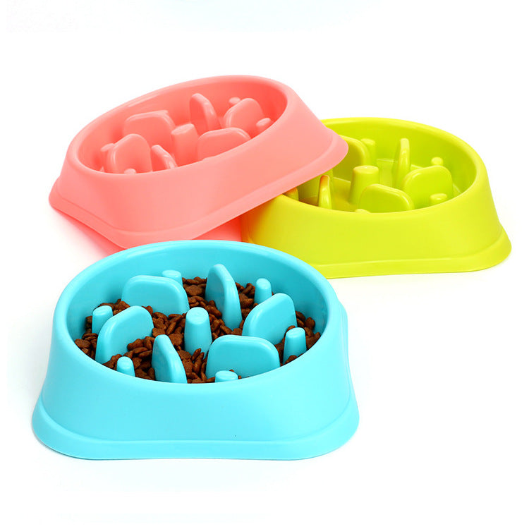 Slow Dog Food Bowl