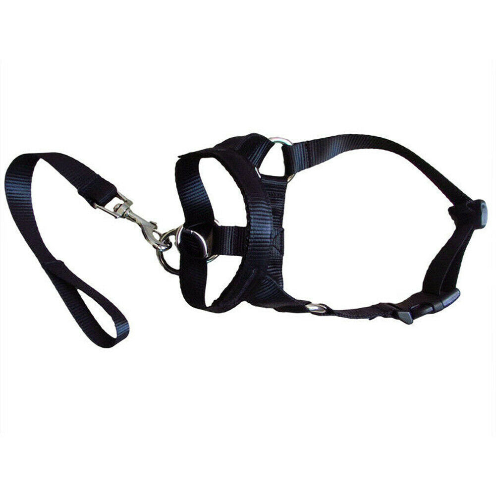 Canine Muzzle Leash Attachment