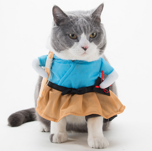 Samurai Cat Costume