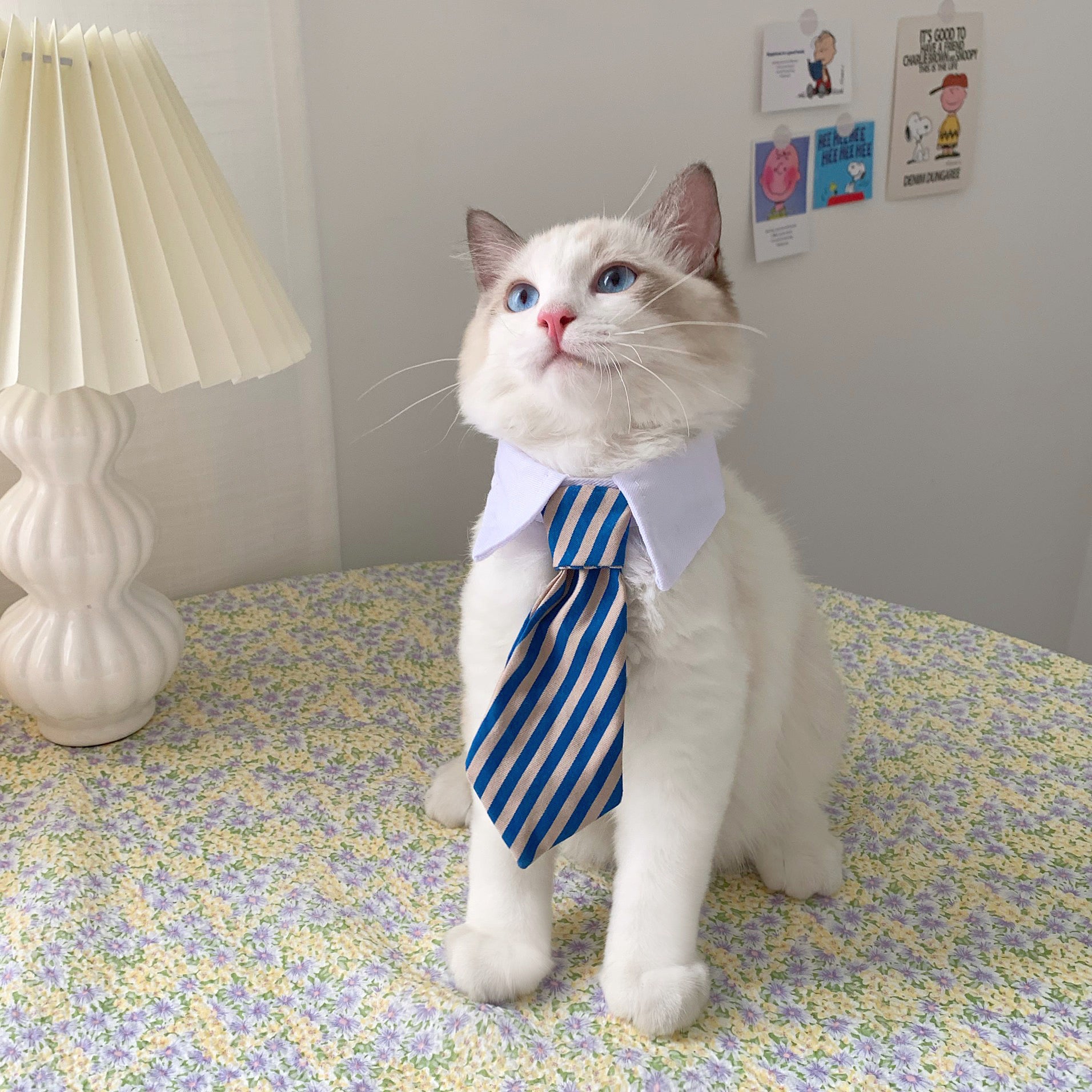 Cat Gentleman Tie