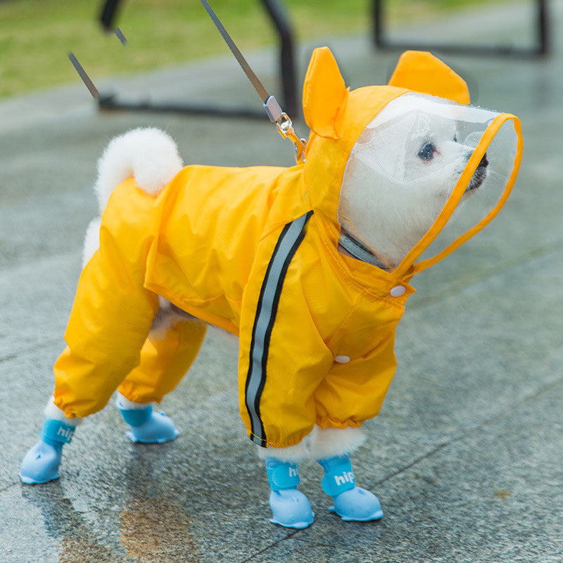 Rain Coat