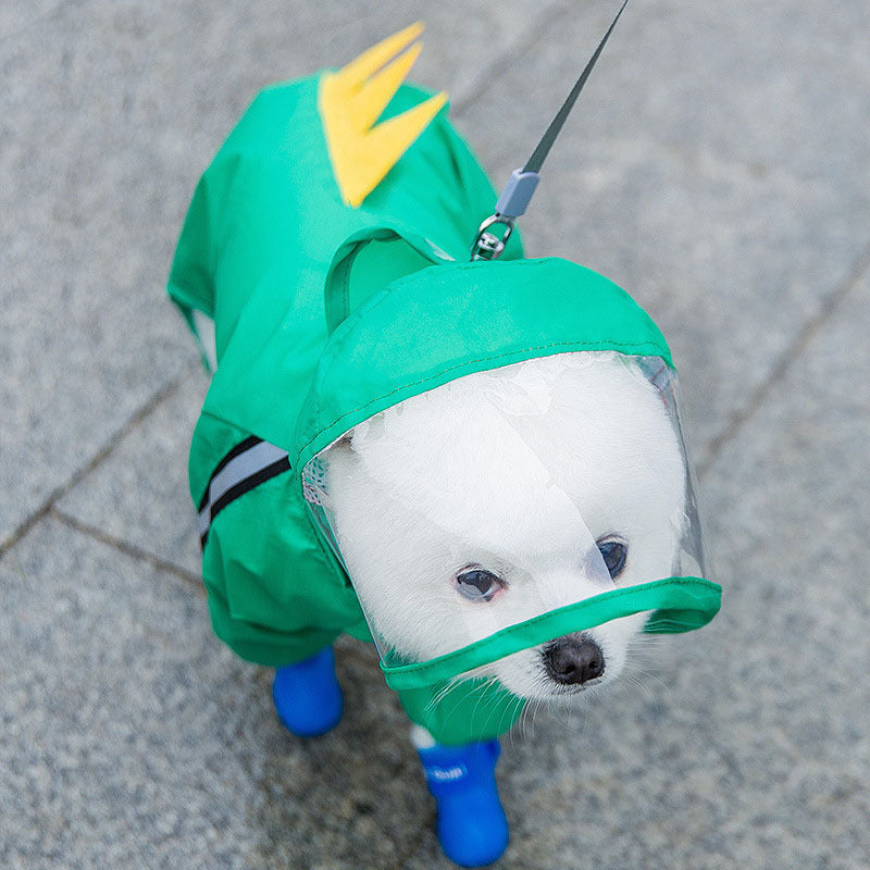 Rain Coat