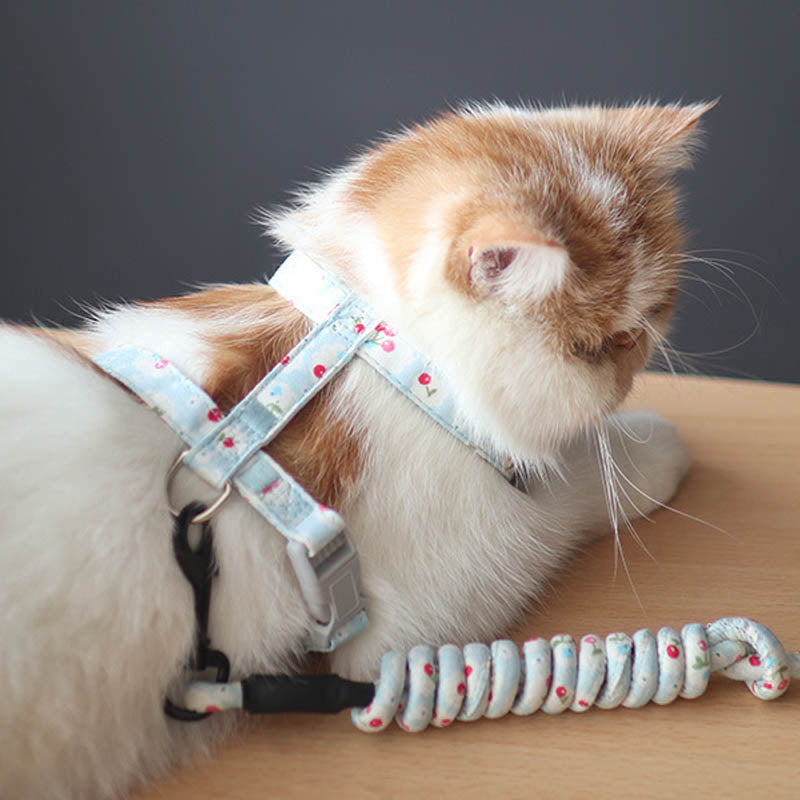 Anti-stroke Cat Leash