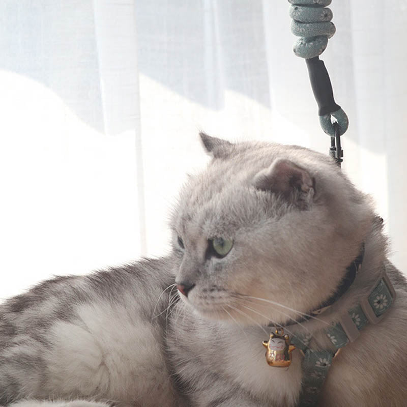 Anti-stroke Cat Leash