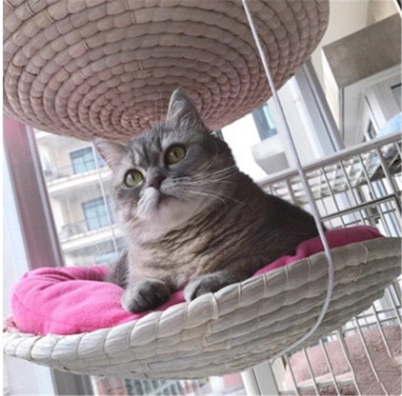 Fashionable Cat Hammock