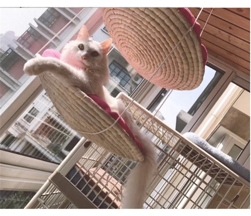 Fashionable Cat Hammock