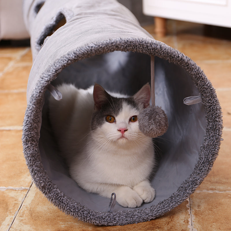 Long Cat Tunnel