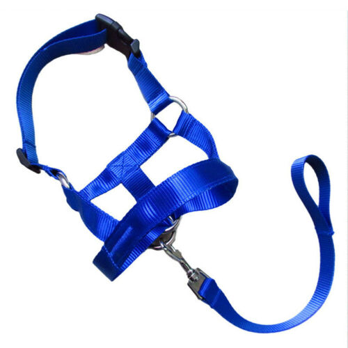 Canine Muzzle Leash Attachment