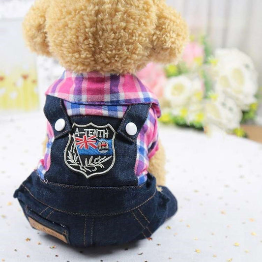 Canine Leisurewear
