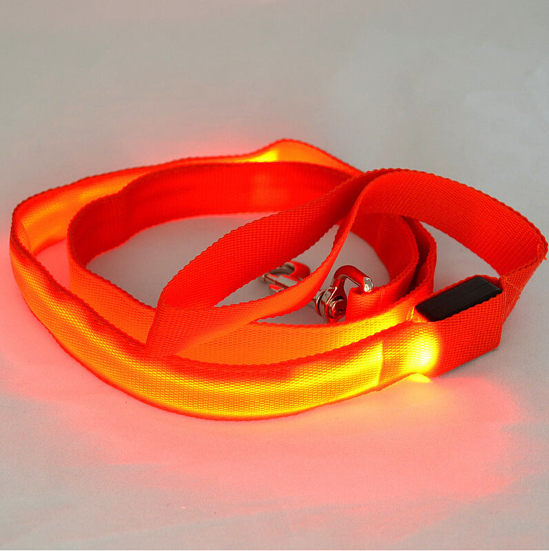 LED Dog Leash