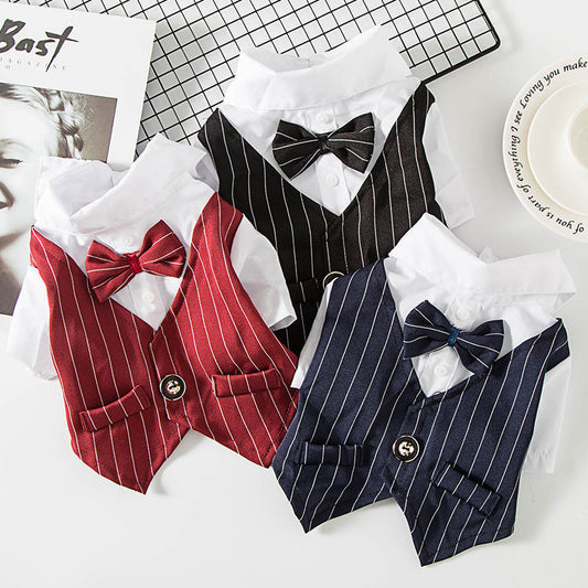 Evening Suit For Pets