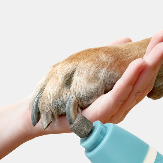 Nail Sharpener