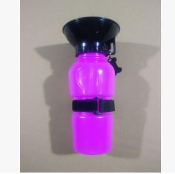 Portable Water Bottle