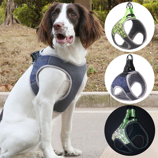 Dog Vest