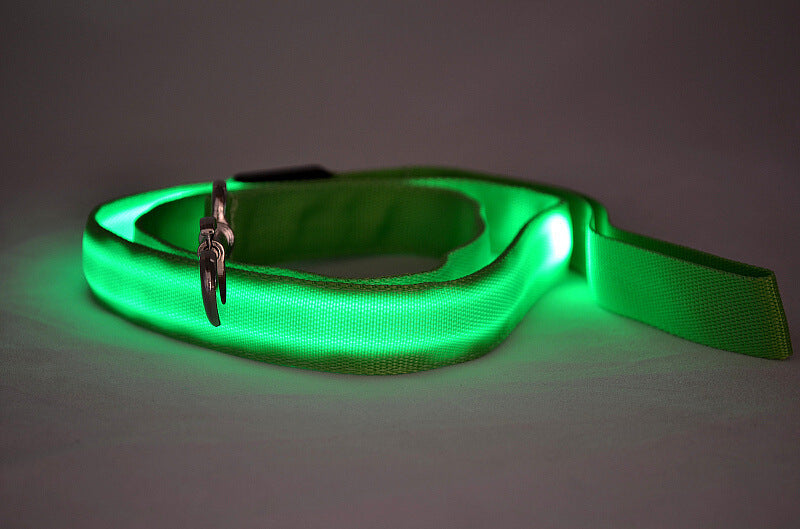LED Dog Leash