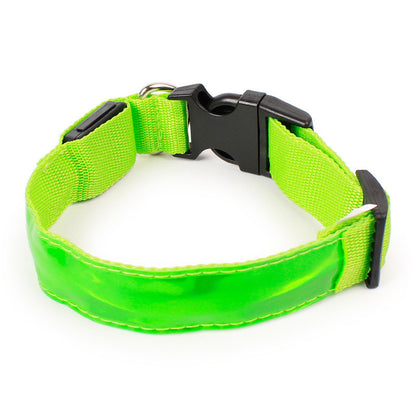 Neon Dog Collar