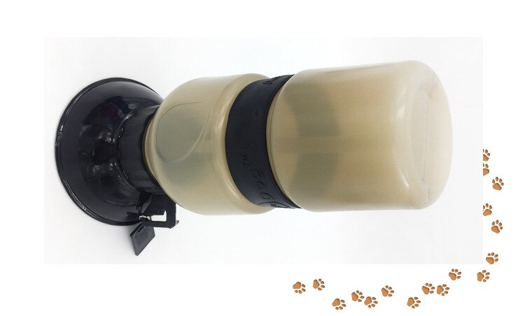 Portable Water Bottle