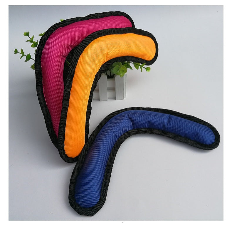 Boomerang Toy
