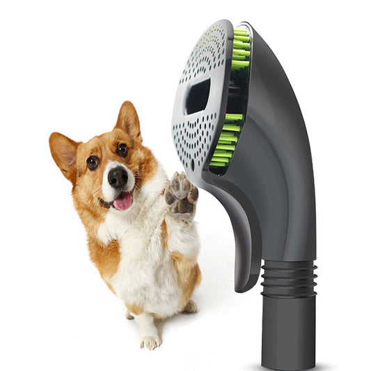 Shower Brush