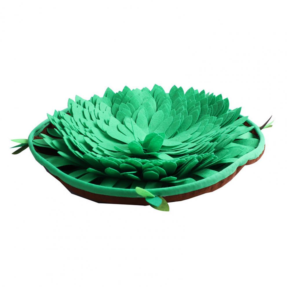 Sniffing Pad Toy