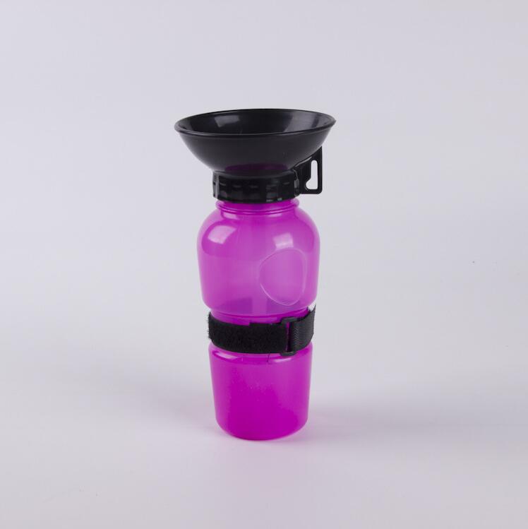 Portable Water Bottle