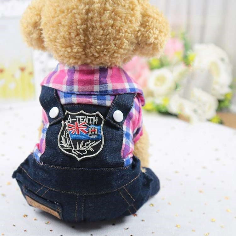 Canine Leisurewear