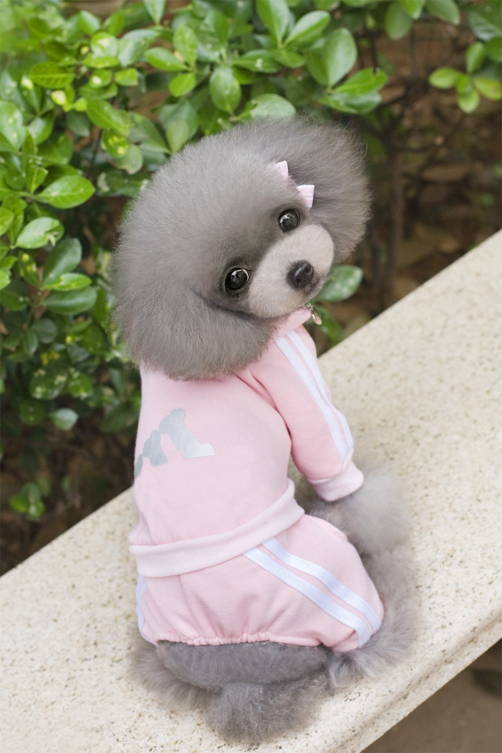 Athletic Pet Sweater