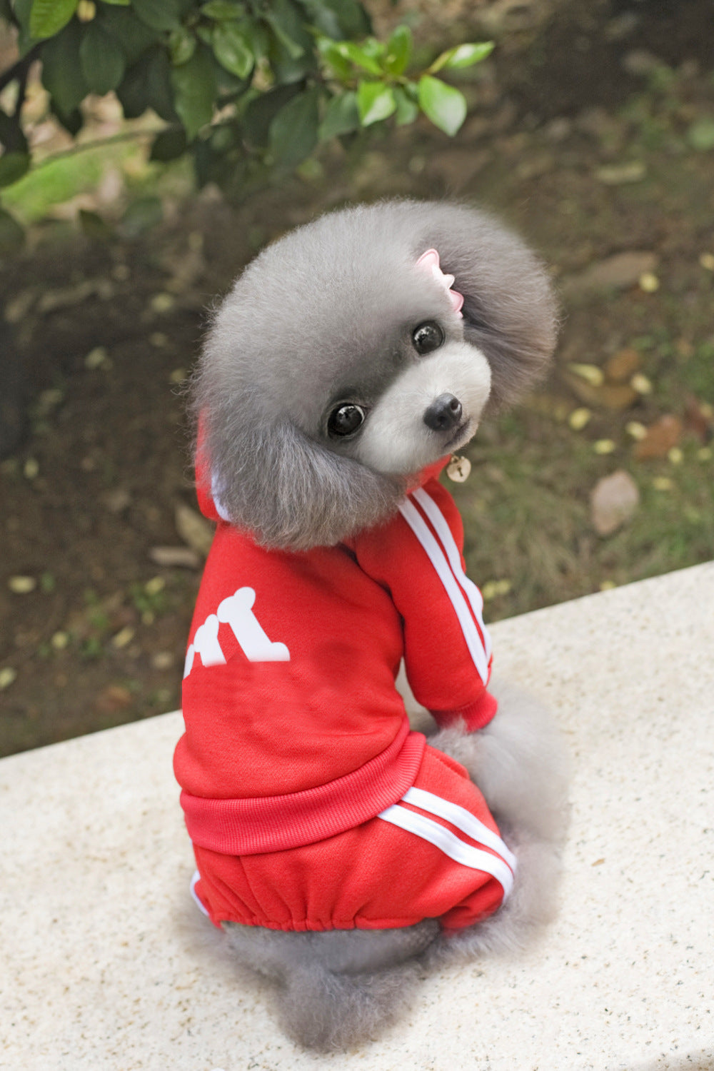 Athletic Pet Sweater