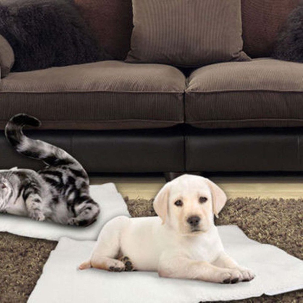 Self Heating Dog  Blanket