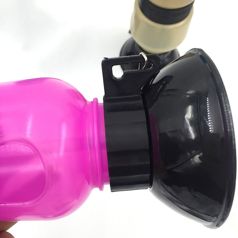 Portable Water Bottle