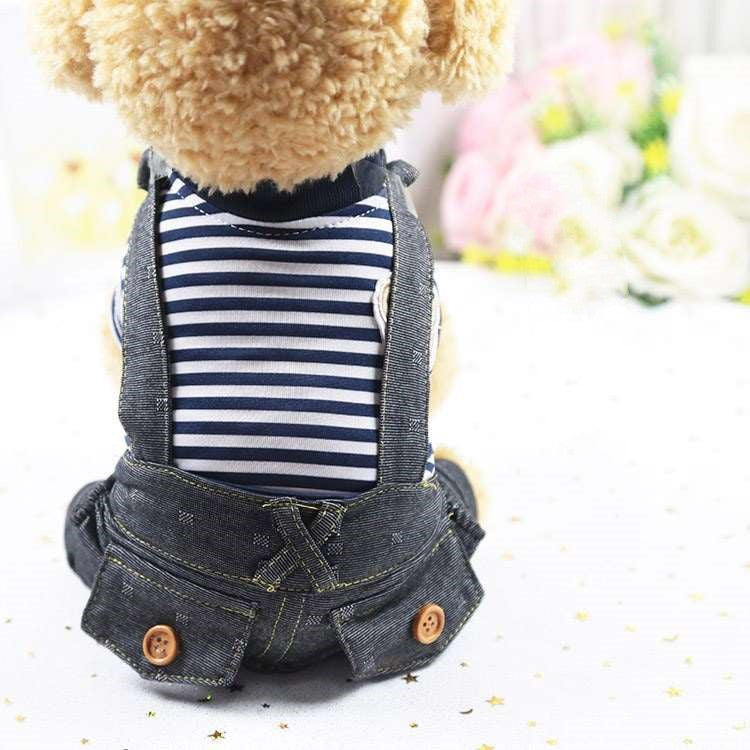 Canine Leisurewear