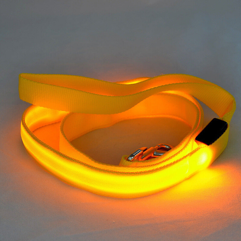 LED Dog Leash