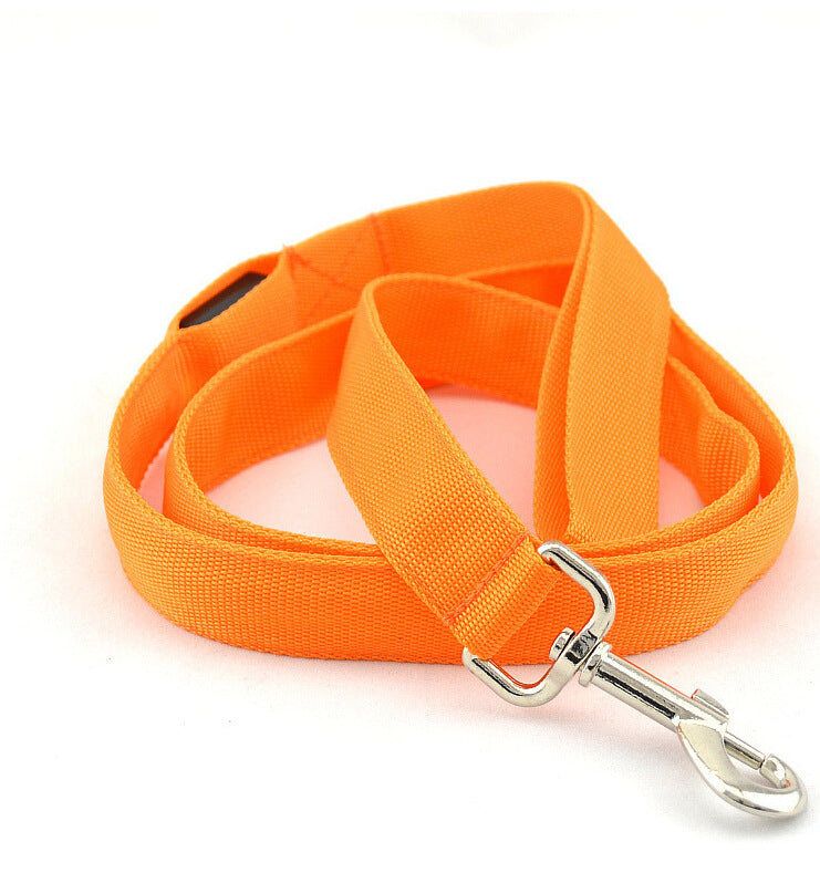 LED Dog Leash