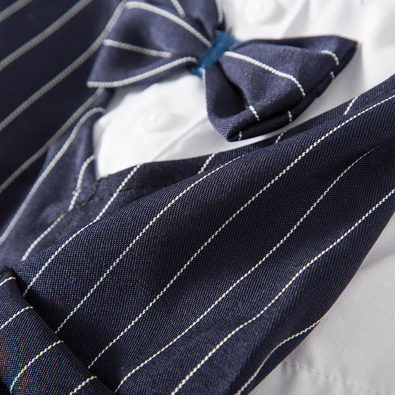Evening Suit For Pets