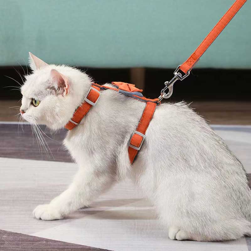 Cat Bow Leash