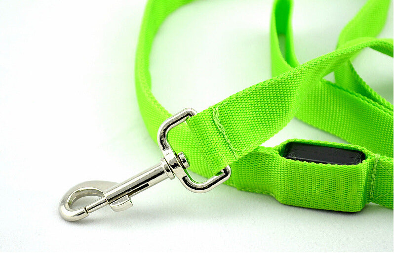 LED Dog Leash