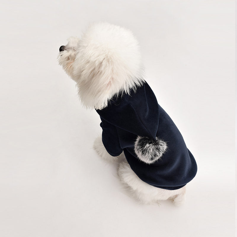 Hip Pet Wardrobe Ensemble