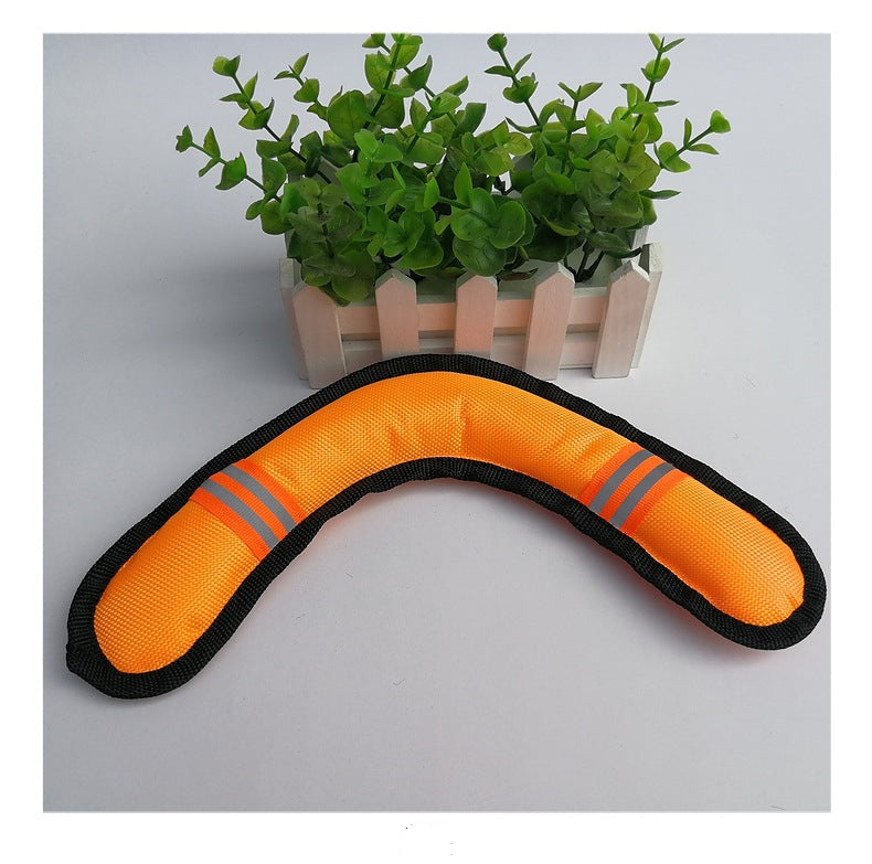 Boomerang Toy
