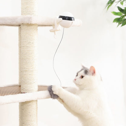 Electric Cat Toy Teaser