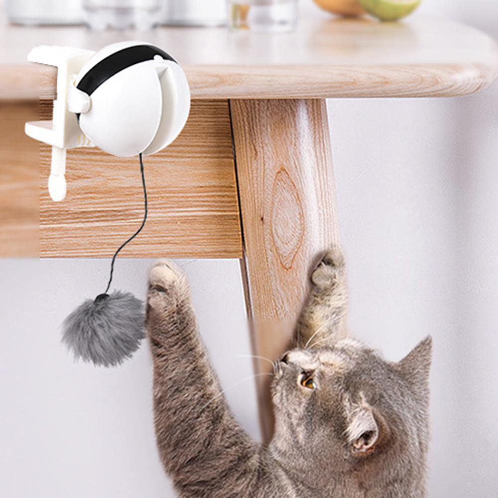Electric Cat Toy Teaser