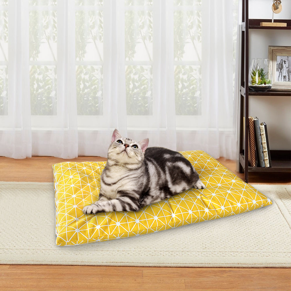 Soft Dog Beds