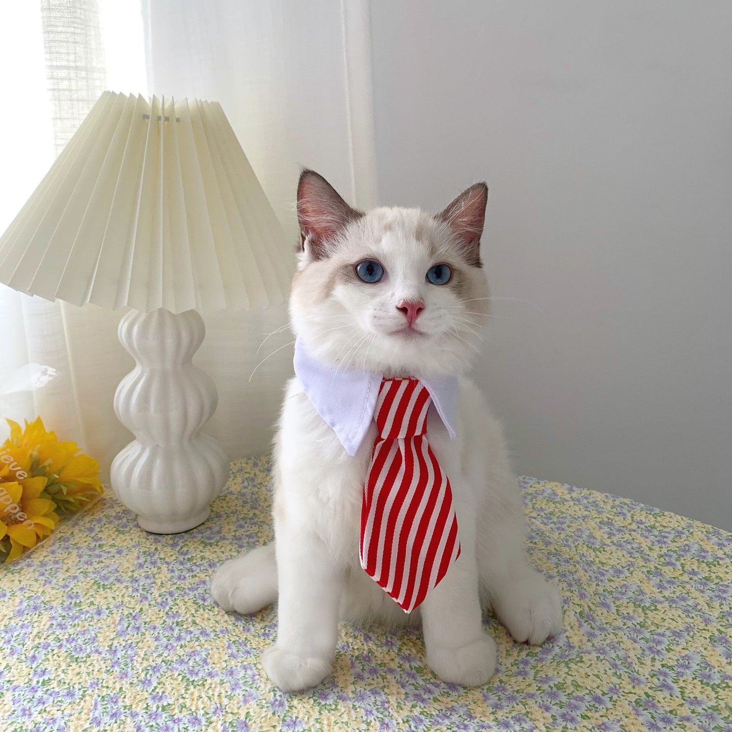 Cat Gentleman Tie