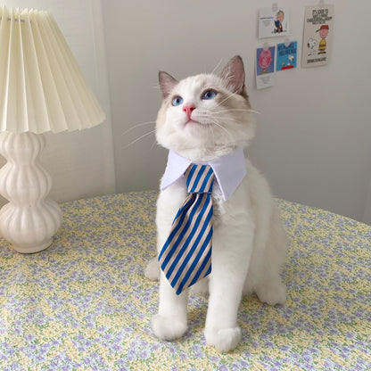 Cat Gentleman Tie