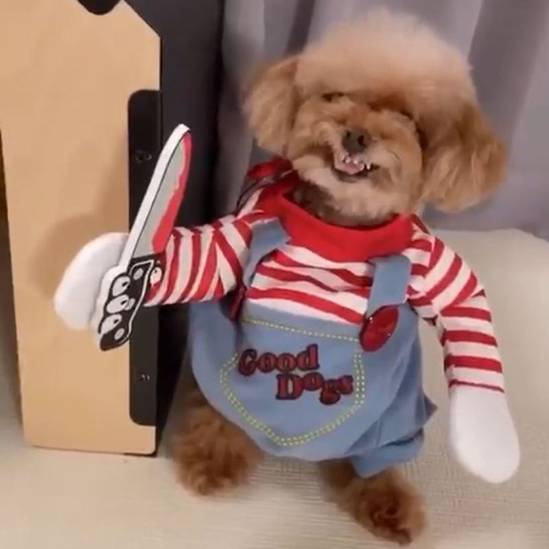 Hilarious Pet Attire